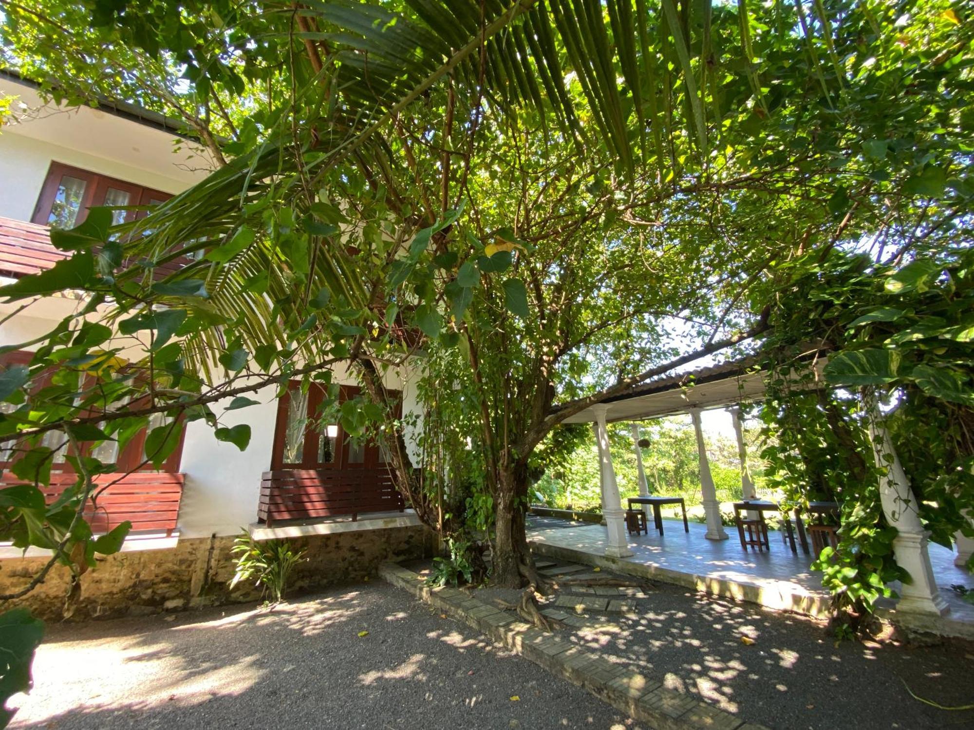 Lake House Hikka Hikkaduwa Dış mekan fotoğraf